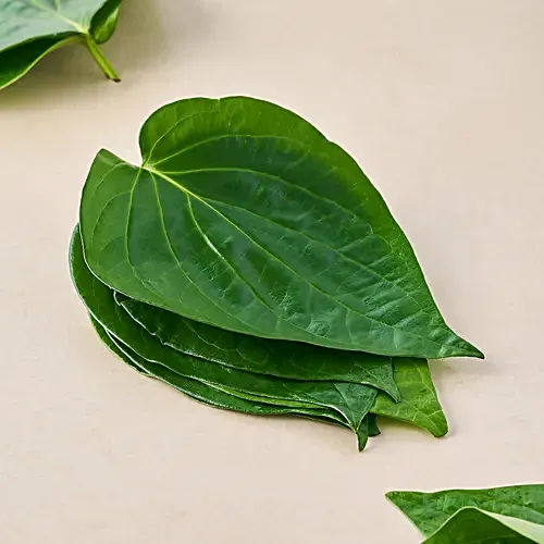 Betel Leaf - Image 2